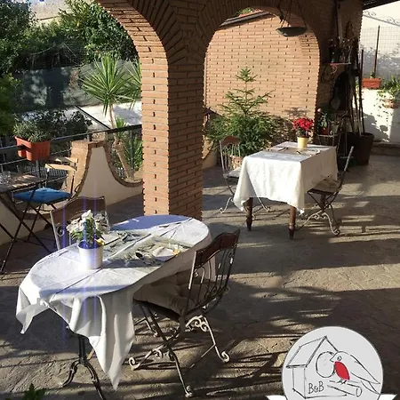 B&B Il Pettirosso Tufo (Latina)