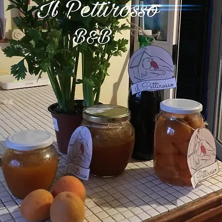 B&B Il Pettirosso * Tufo (Latina)