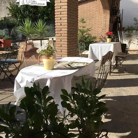 B&B Il Pettirosso *