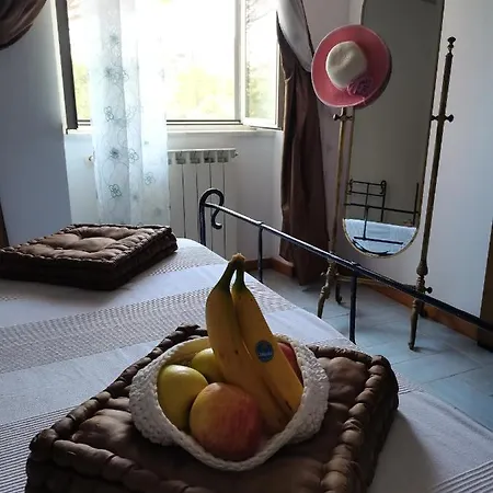 B&B Il Pettirosso Alojamento de Acomodação e Pequeno-almoço Tufo (Latina)